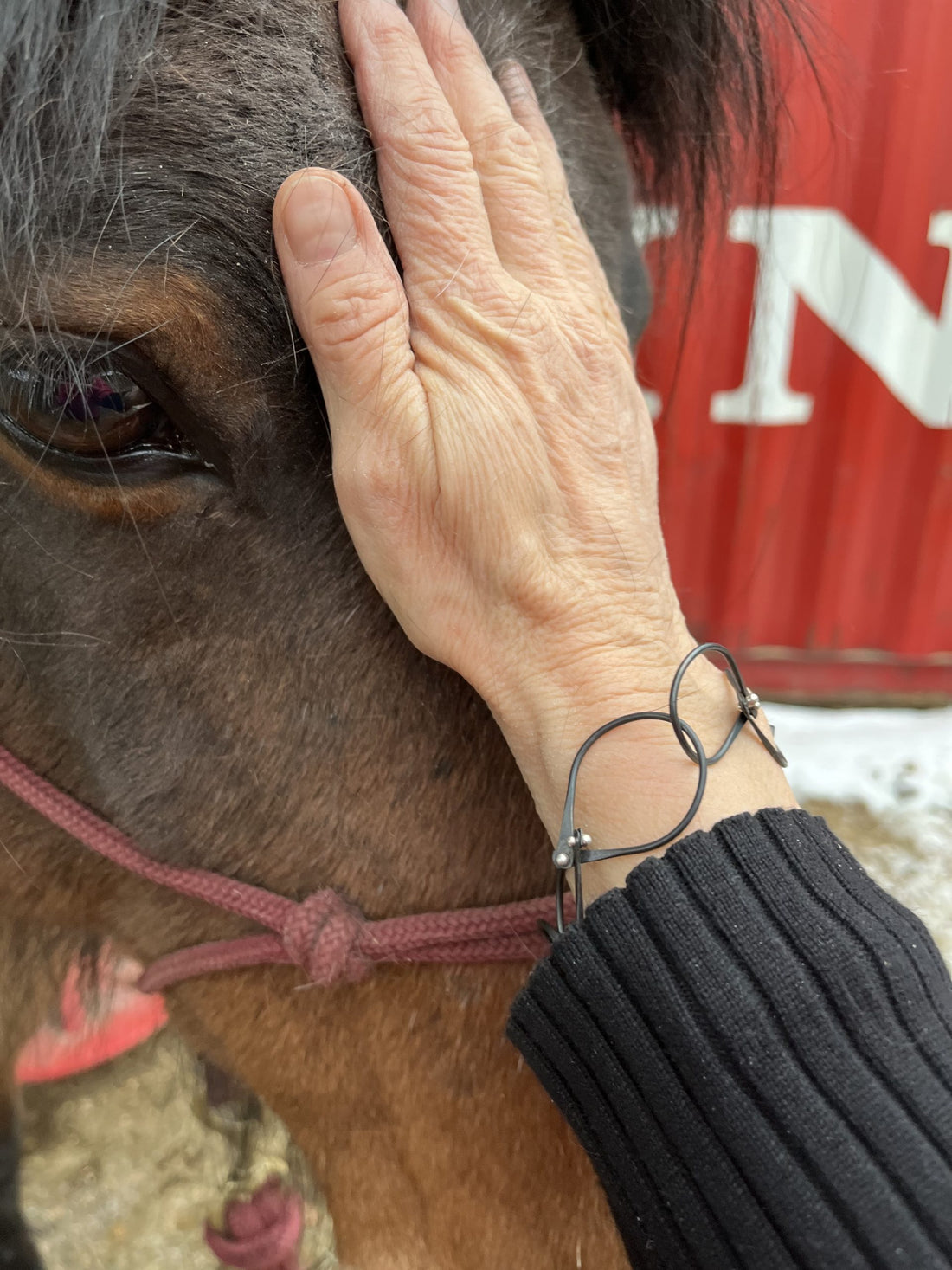 A black steel bracelet and a beautiful horse!
